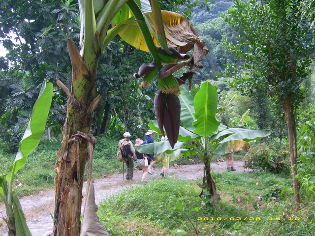 a006.JPG