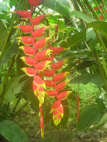 a017.JPG