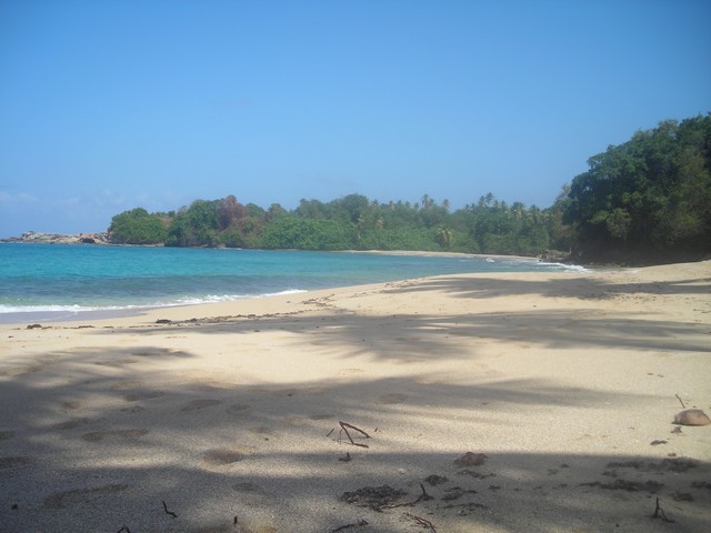 a018.JPG