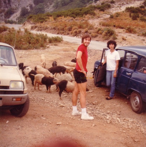 corse6