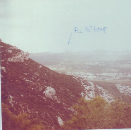 pic1b.jpg